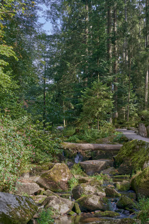 Gemeinde Waldkirchen Landkreis Freyung-Grafenau Saußbachklamm (Dirschl Johann) Deutschland FRG